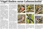 WLZ: Vögel finden neue Lebensräume